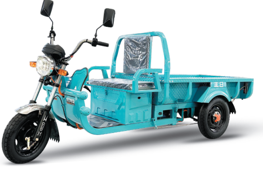 FR1000DZ Hflat Electric tricycles